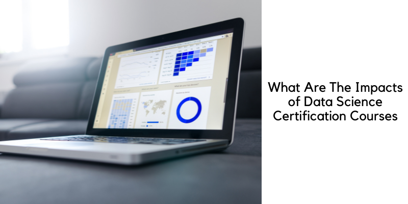 What Are The Impacts of Data Science Certification Courses