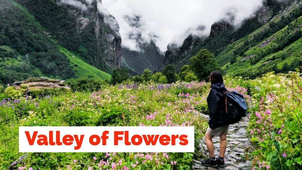 Valley of Flowers | Gems of Uttarakhand