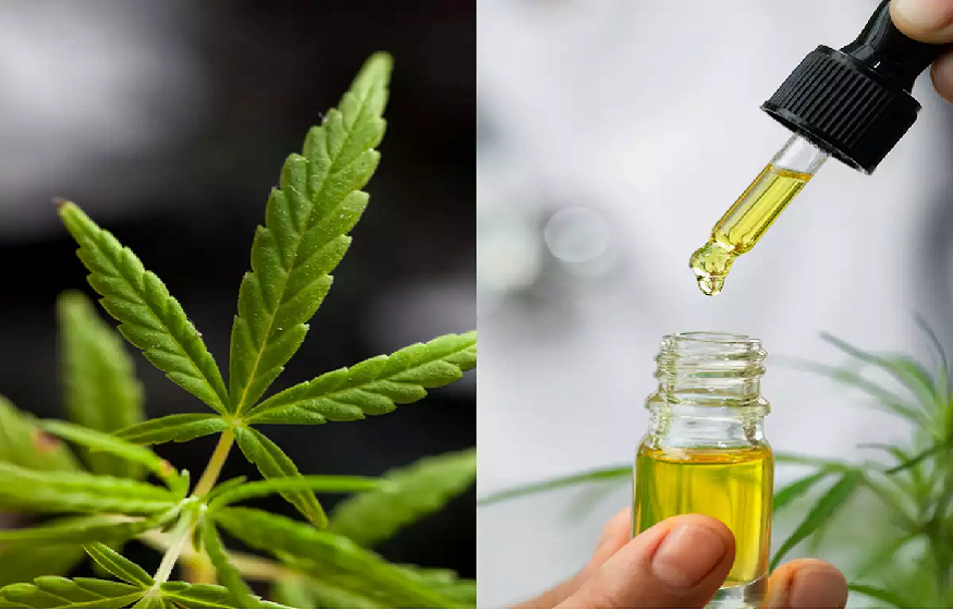 Ways to Take Your CBD oil Flavour to one step higher