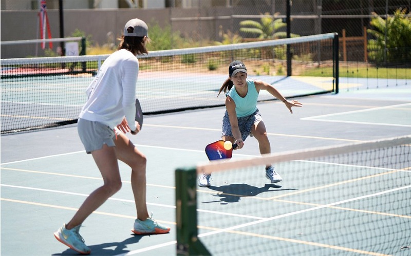 Pickleball Championships: Recapping Major Events and Results Introduction to Pickleball Championships