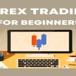 Beginners Succeed in Forex Trading