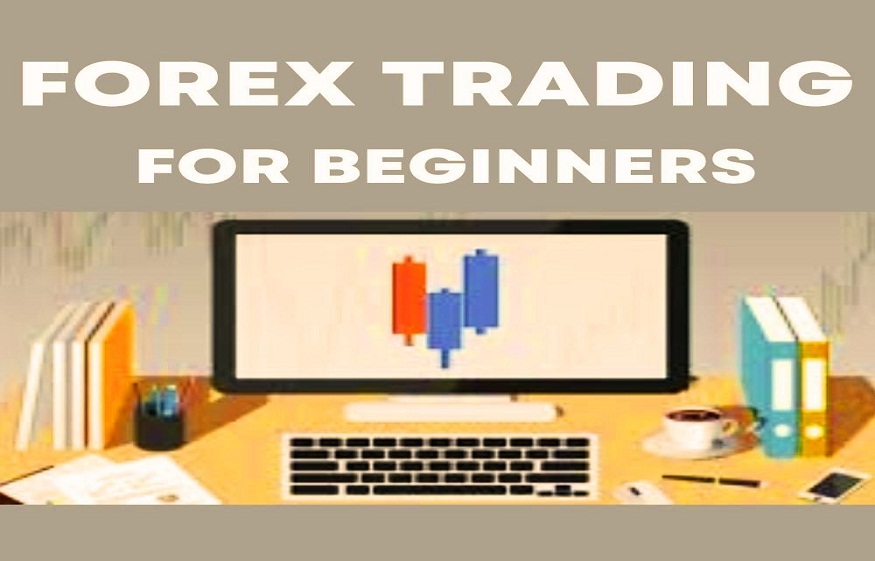 Beginners Succeed in Forex Trading