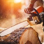tree removal Groveland MA